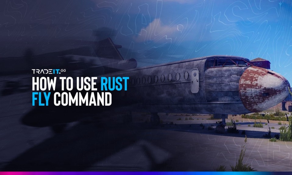 Learn How to Use Rust Fly Command