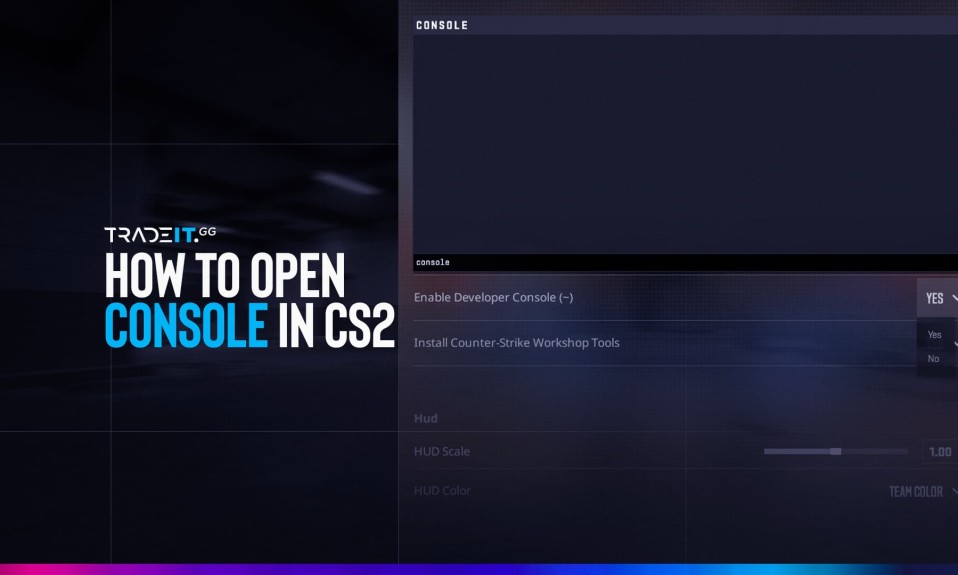 How to Open Console in CS2